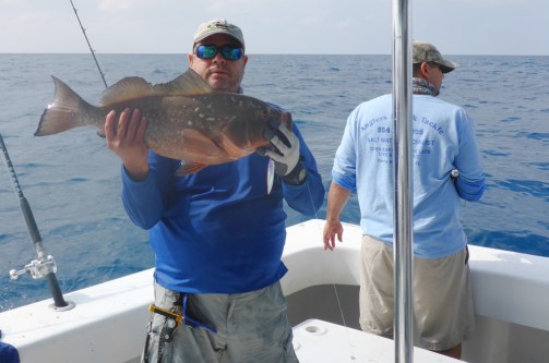 Herbert's Red Grouper 4
