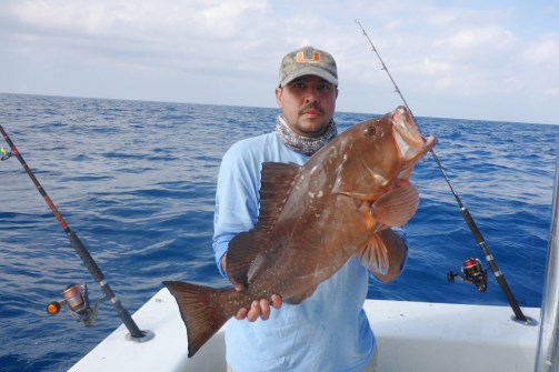 Nilson's Red Grouper 3