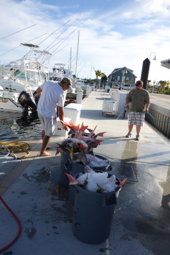 The catch in garbage cans