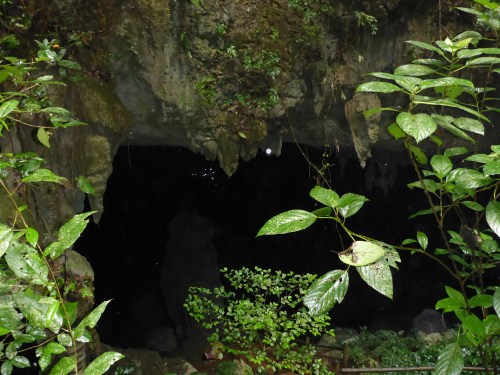 Isla Roatan Reef & Island008