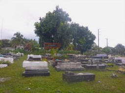 Isla Roatan Reef & Island012