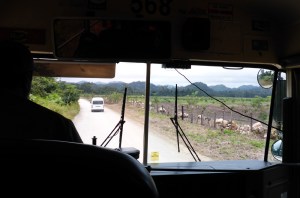 Isla Roatan Reef & Island017