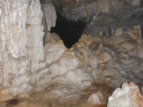 Isla Roatan Reef & Island022