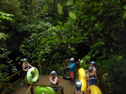 Isla Roatan Reef & Island023