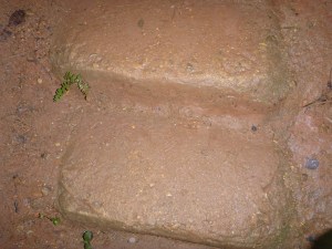 Isla Roatan Reef & Island037