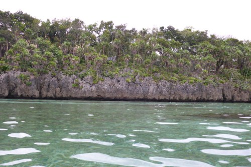 Isla Roatan Reef & Island016