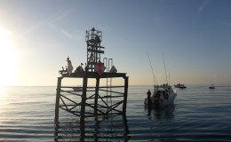 Reward Fishing Fleet – All Day Trip&nbsp;1-9-16