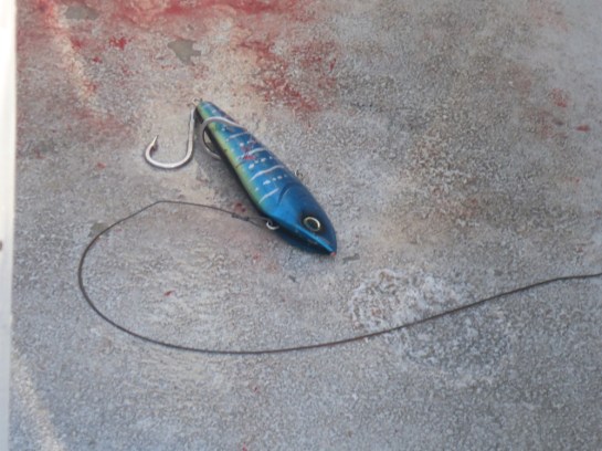 Pulley Ridge 06-201643