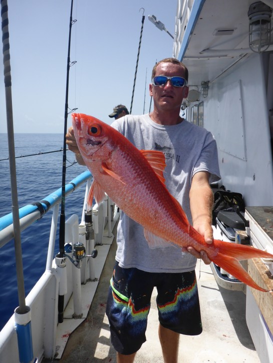 Pulley Ridge 06-201652