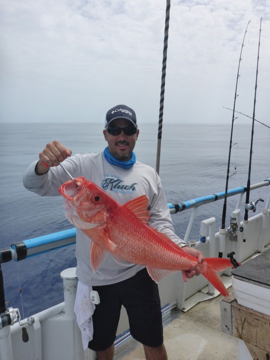 Pulley Ridge 06-201662