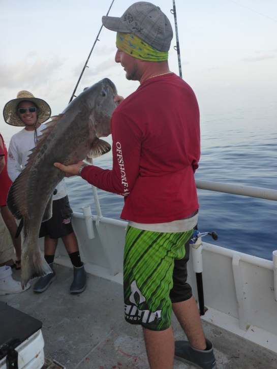 Pulley Ridge 06-201673