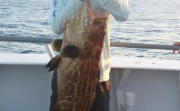 Pulley Ridge Mini Tournament 2016-Don’t sleep