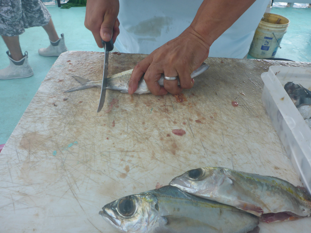 MarquesasRebbeca201804