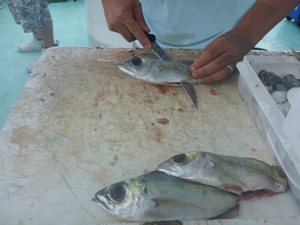 MarquesasRebbeca201807