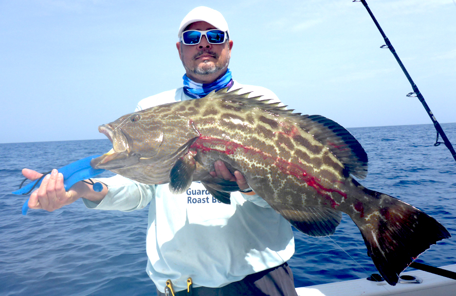 MarquesasRebbeca201839Black grouper