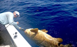 Rebecca Shoal and Marquesas Keys&nbsp;2018