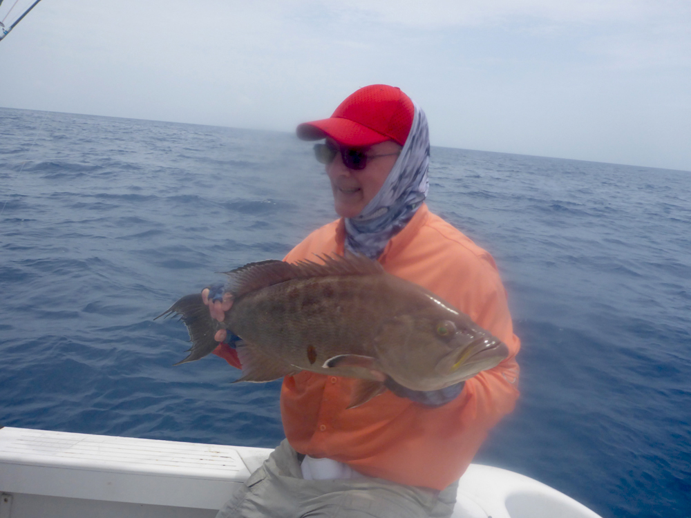 MarquesasRebbeca2018scamp grouper