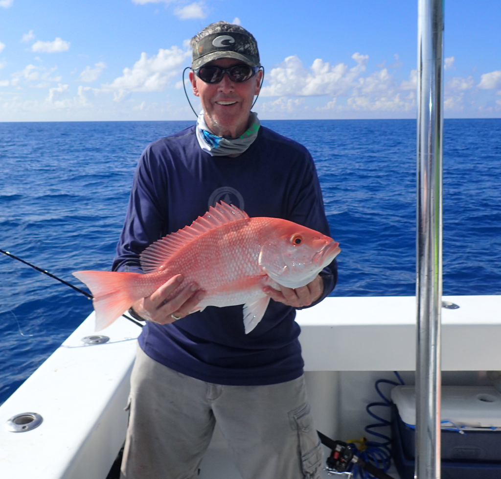 American Red Snapper