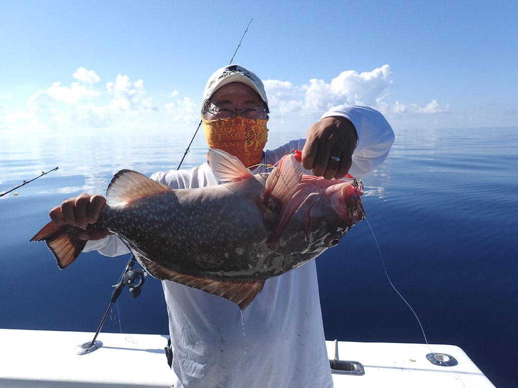 red grouper
