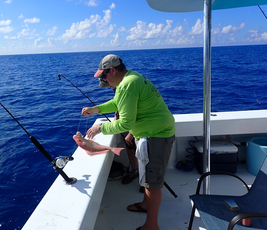 American Red Snapper
