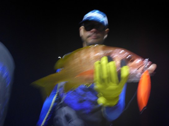 Cudaman Adventures , fishing report, fishing photos