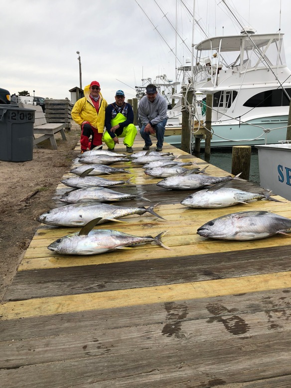 Vertical Jigging For Bluefin Tuna Off Cape Cod, MA 